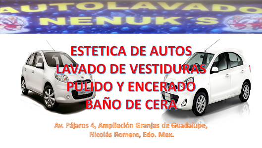 Servicios Nenuk's